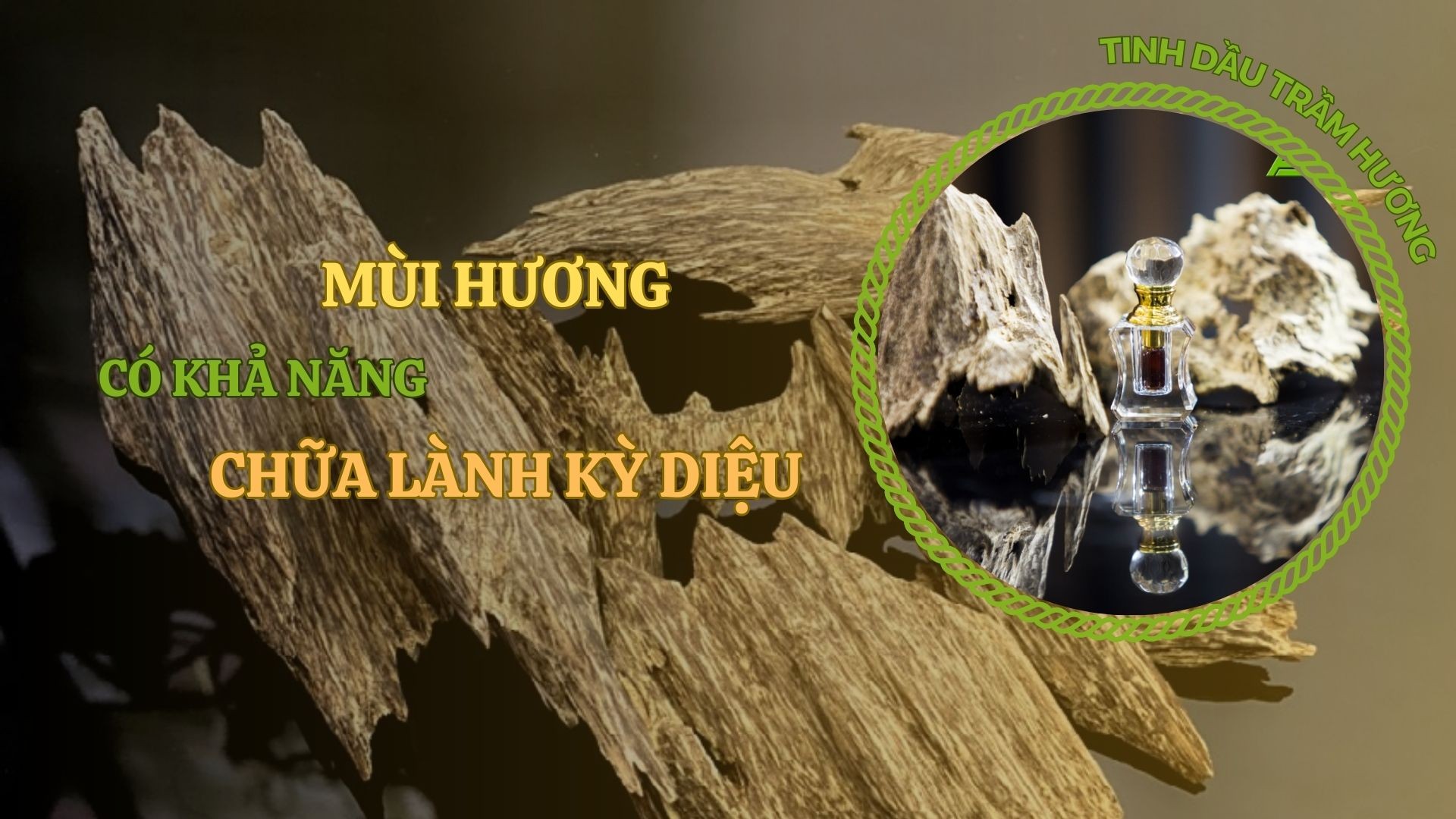 Mùi hương có khả năng chữa lành kỳ diệu